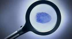 investigatore